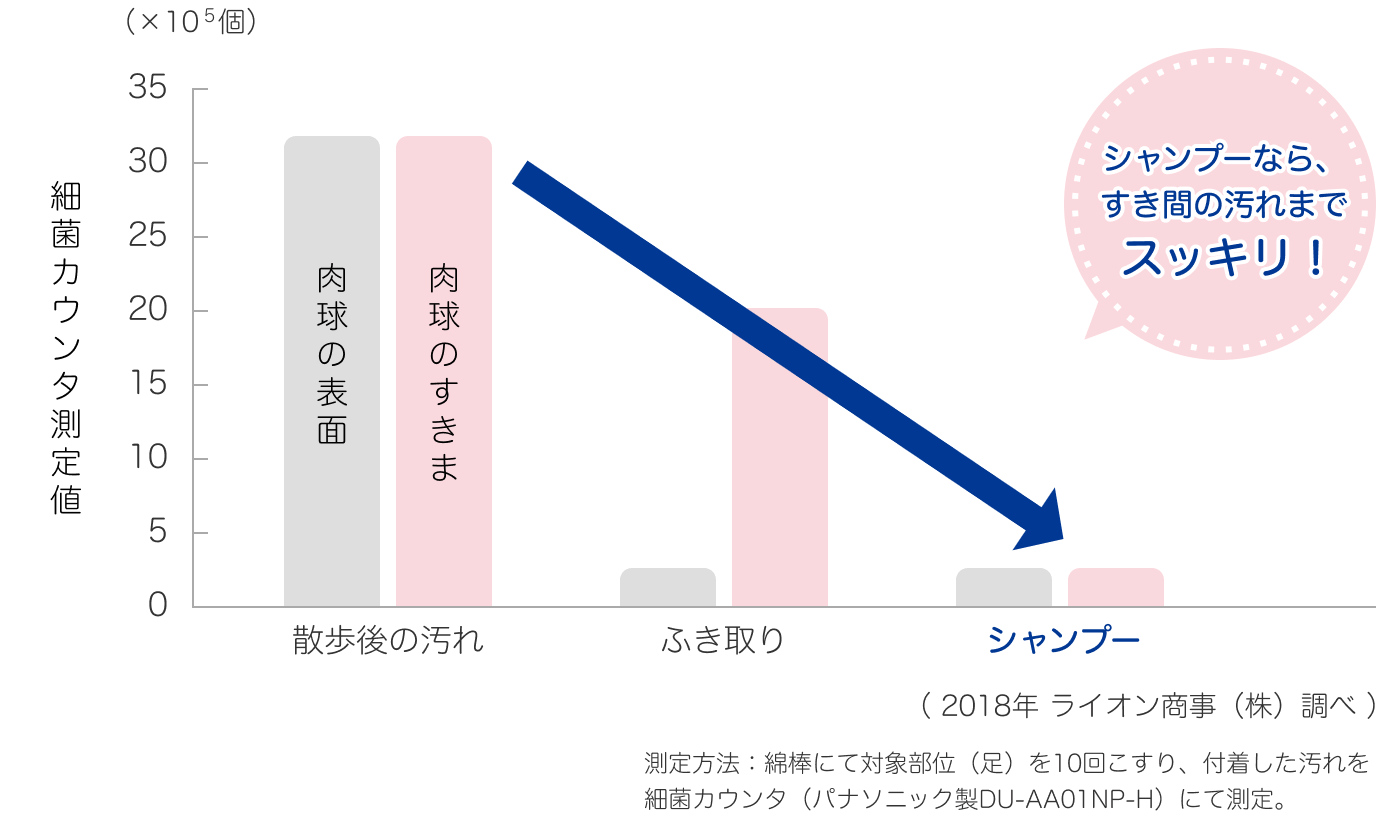 シャンプーなら、すき間の汚れまでスッキリ！