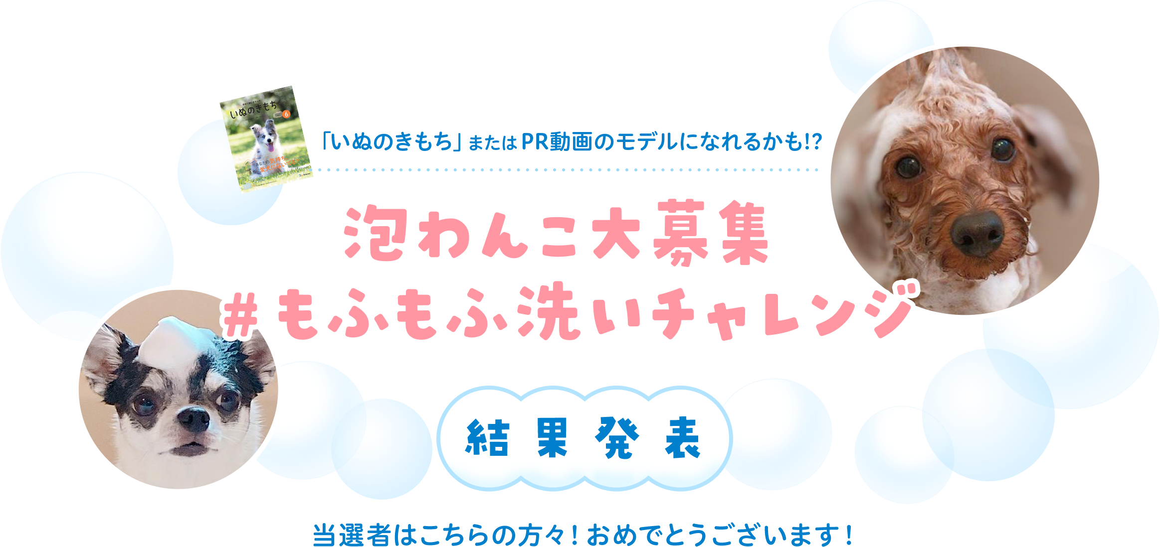 「いぬのきもち」またはPR動画のモデルになれるかも!? 泡わんこ大募集 ＃もふもふ洗いチャレンジ 結果発表 当選者はこちらの方々！おめでとうございます！