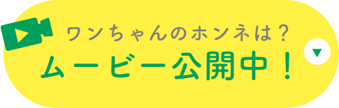 ワンちゃんのホンネは？ムービー公開中！