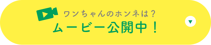 ワンちゃんのホンネは？ムービー公開中！