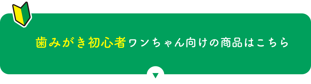 歯みがき初心者ワンちゃん向けの商品はこちら