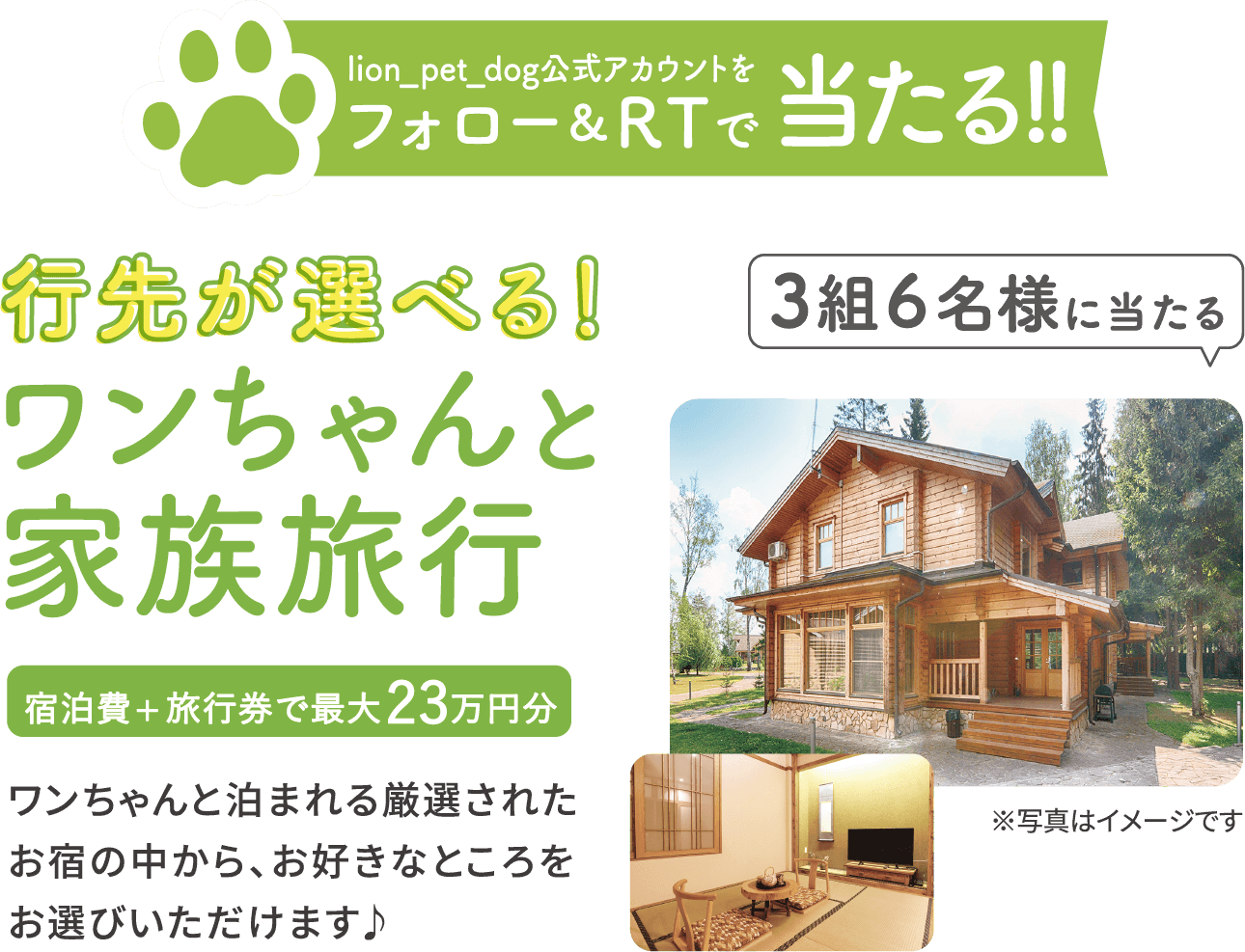 lion_pet_dog公式アカウントをフォロー＆RTで当たる!!行先が選べる!ワンちゃんと家族旅行宿泊費+旅行券で最大23万円分3組6名様に当たるワンちゃんと泊まれる厳選されたお宿の中から、お好きなところをお選びいただけます♪※写真はイメージです