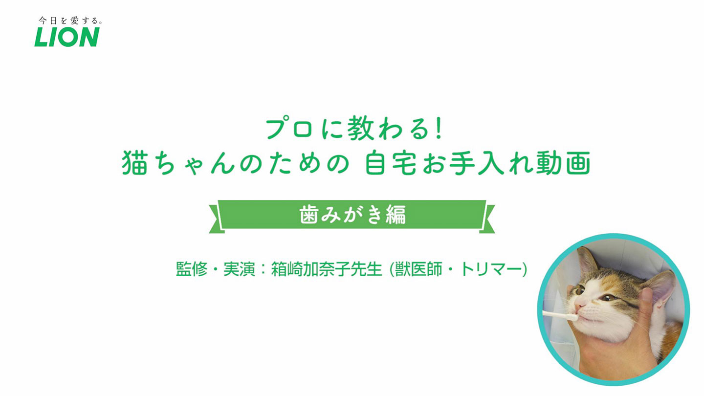 まずはお口に触られることに慣れさせよう