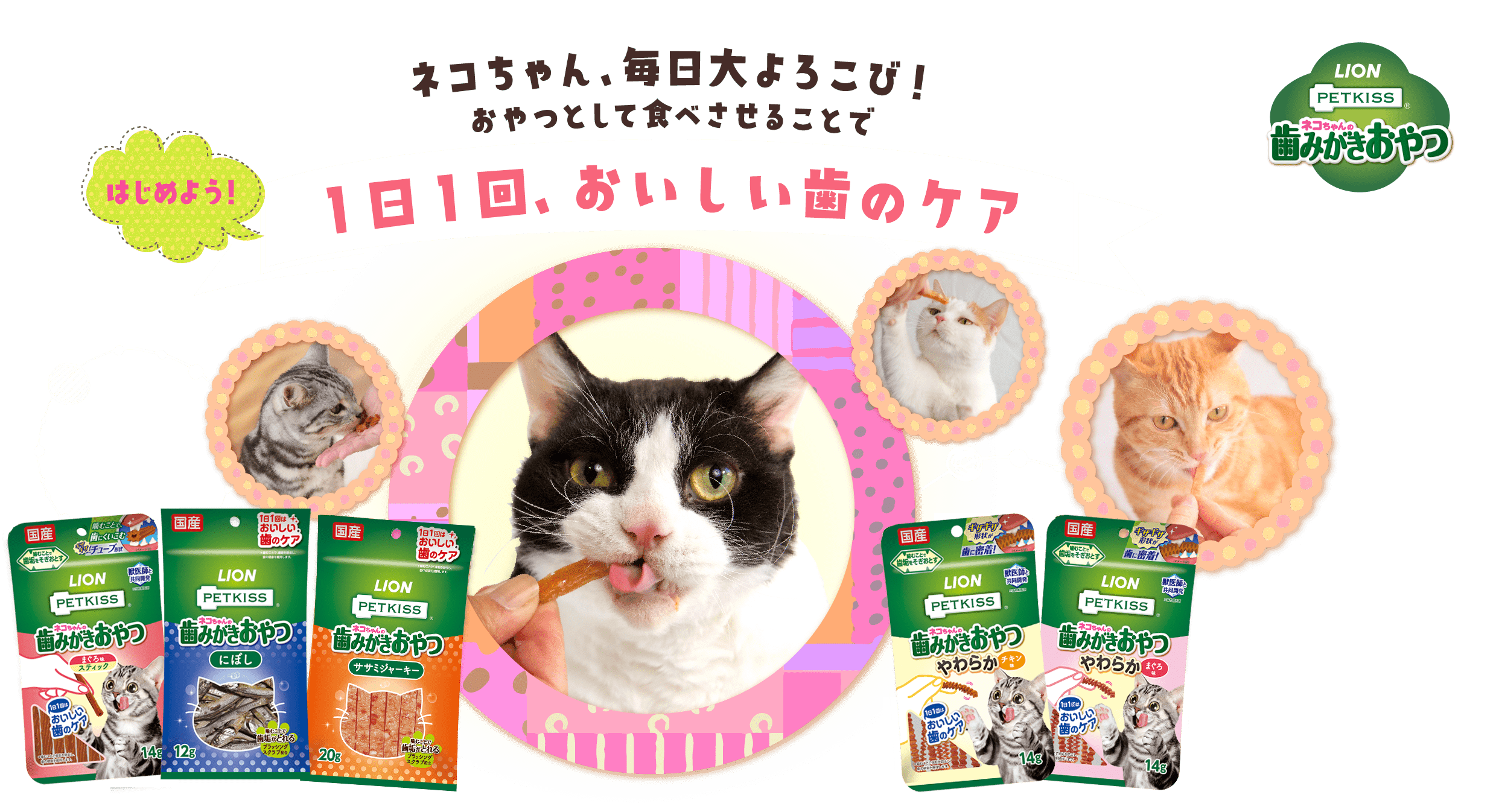 はじめよう！ネコちゃん、毎日大よろこび！おやつとして食べさせることで1日1回、おいしい歯のケア