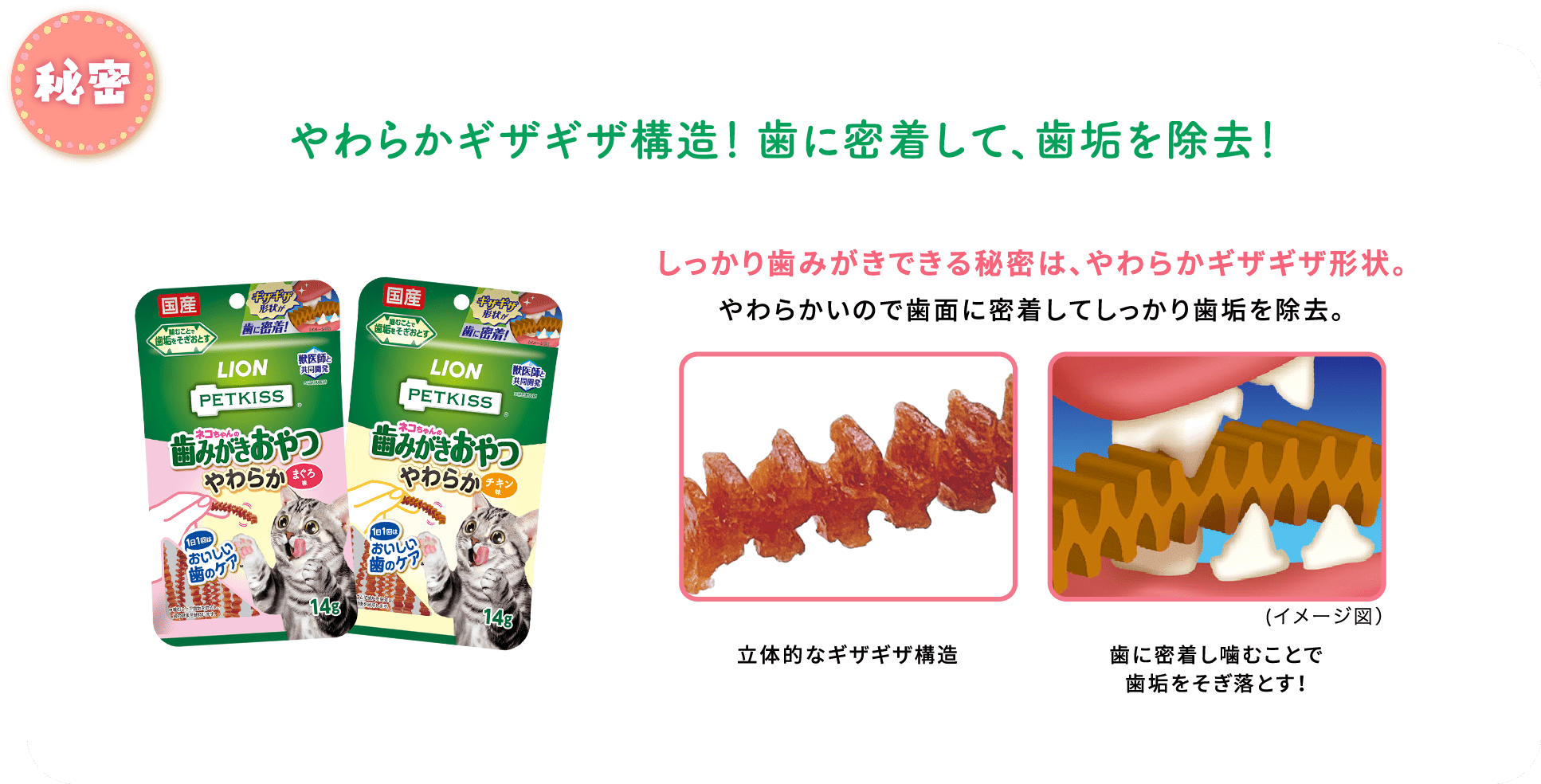 秘密 やわらかギザギザ構造！歯に密着して、歯垢を除去！しっかり歯みがきできる秘密は、やわらかギザギザ形状。やわらかいので歯面に密着してしっかり歯垢を除去。立体的なギザギザ構造歯に密着し噛むことで歯垢をそぎ落とす！