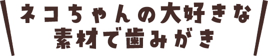 ネコちゃんの大好きな素材で歯みがき