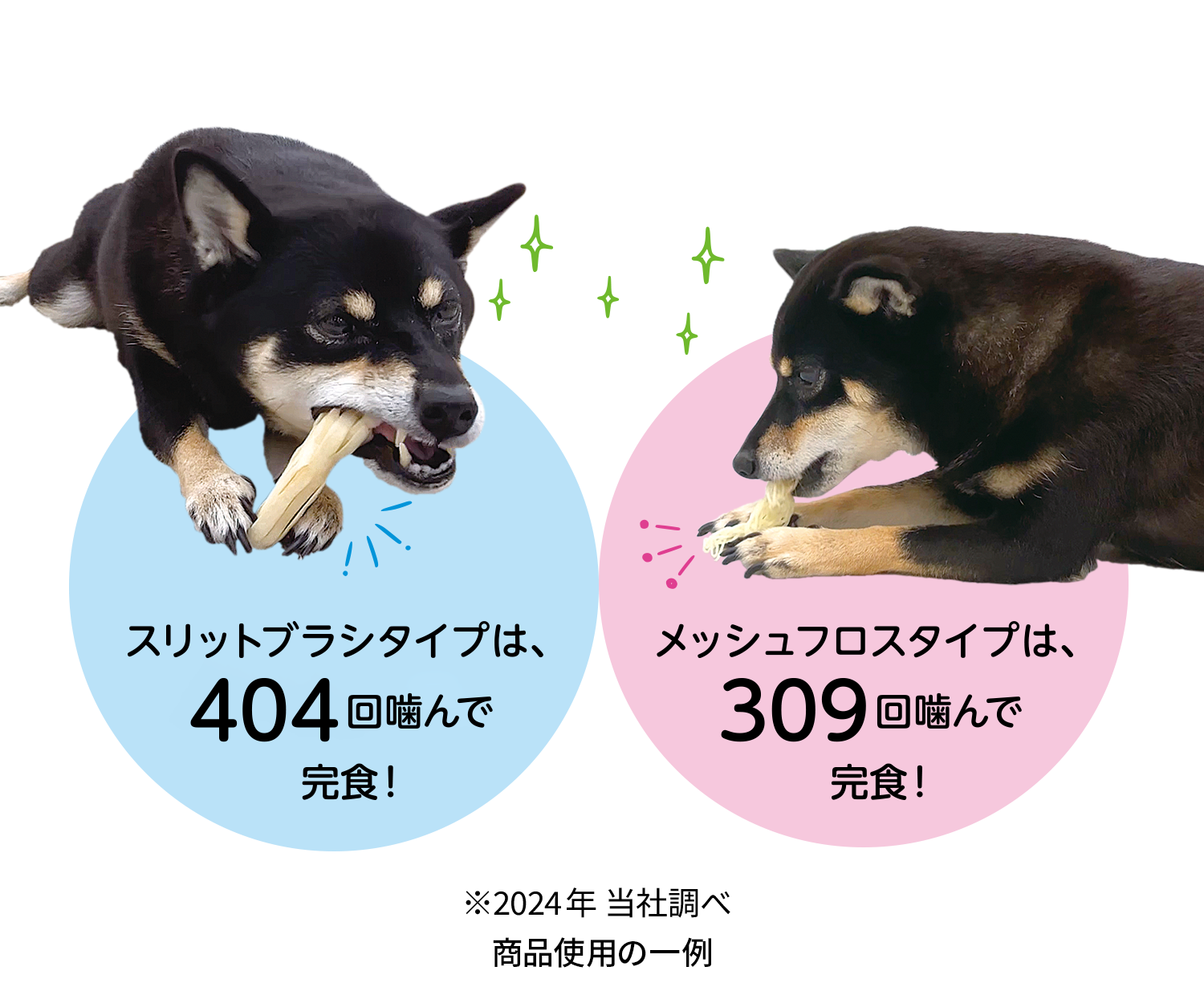 くるみちゃんに食べてもらいました。スリットブラシは、404回噛んで完食！メッシュフロスは、309回噛んで完食！