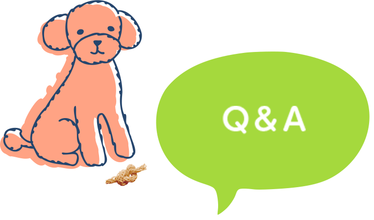 Q&A