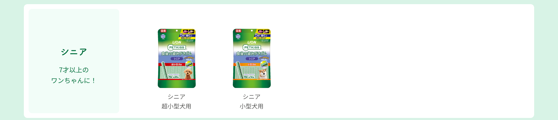 【食後の歯みがきガム シニア】商品パッケージ