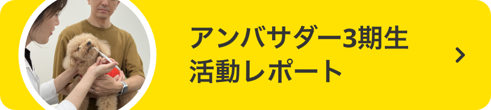 アンバサダー3期生 活動レポート
