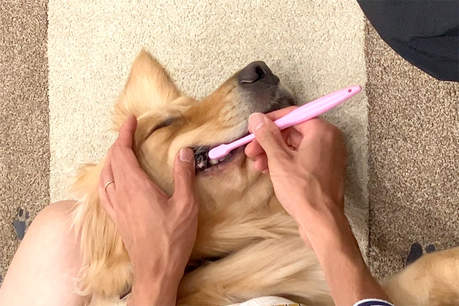 写真：リラックス