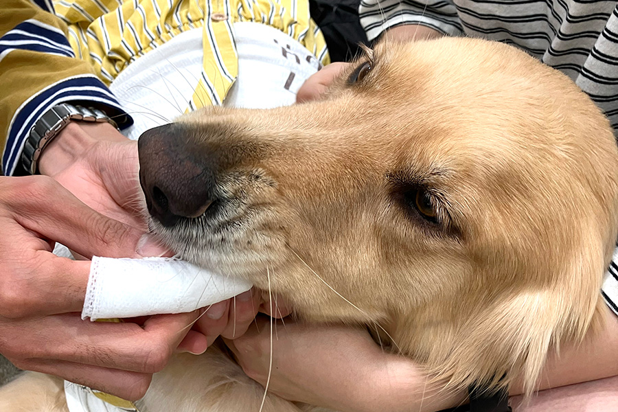 写真：あせらない