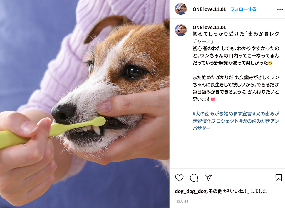 画像：SNSキャプチャーイメージ1
