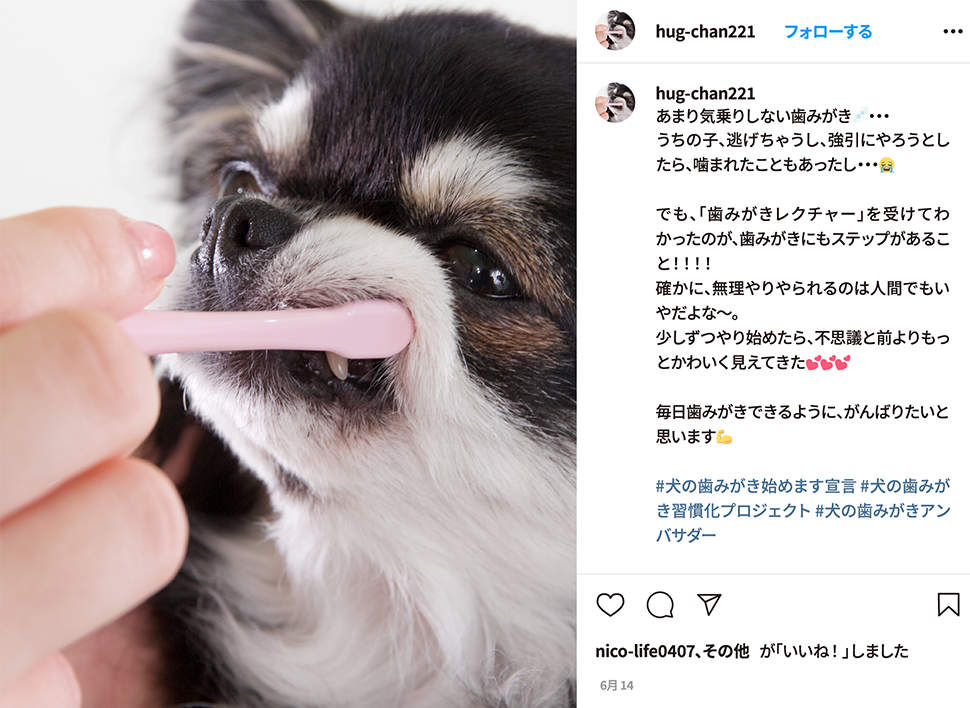 画像：SNSキャプチャーイメージ2