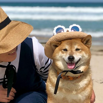 写真：フクちゃん
