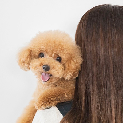 写真：ハルちゃん
