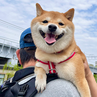 写真：おまめちゃん