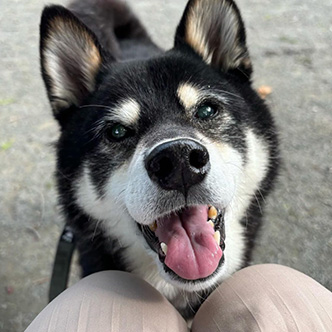 写真：ラフちゃん