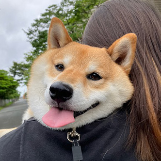 写真：きなこちゃん