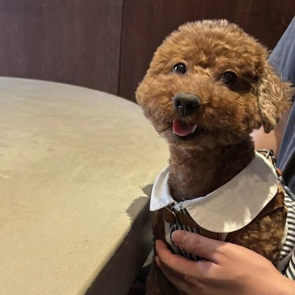 写真：あおちゃん