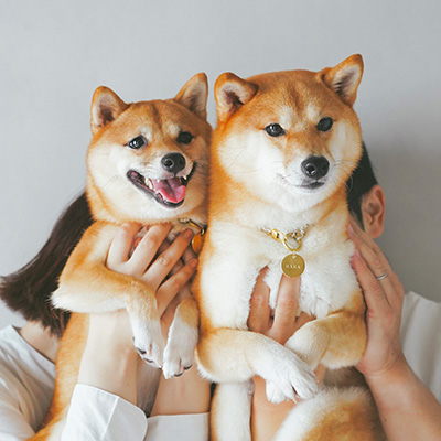 写真：はなちゃん