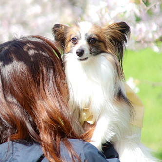 写真：あおちゃん