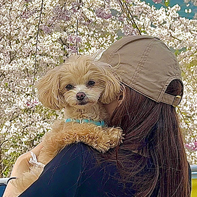 写真：とろろちゃん