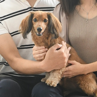 写真：マロンちゃん