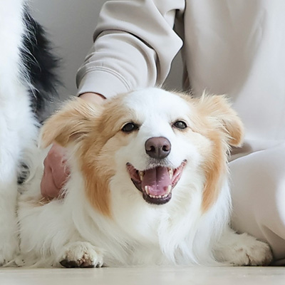 写真：オルガちゃん