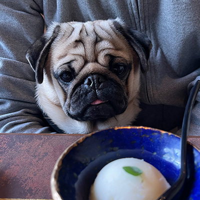 写真：たますけちゃん