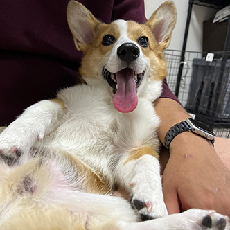 写真：ルヴァンちゃん