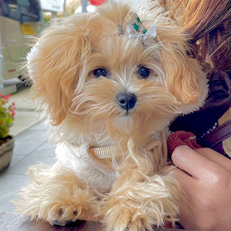 写真：ティナちゃん