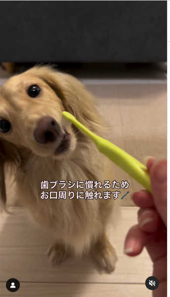 画像：リール動画のキャプチャ