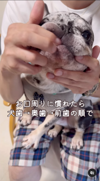 画像：リール動画のキャプチャ