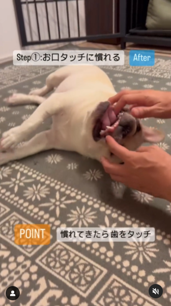 画像：リール動画のキャプチャ