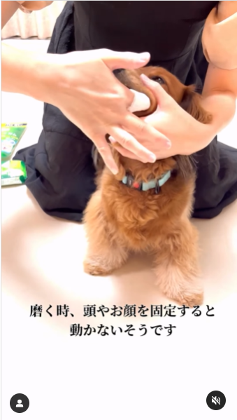 画像：リール動画のキャプチャ