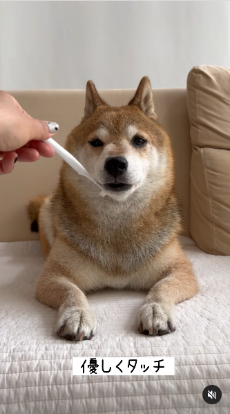 画像：リール動画のキャプチャ