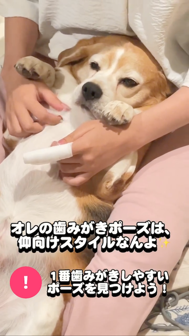 画像：リール動画のキャプチャ