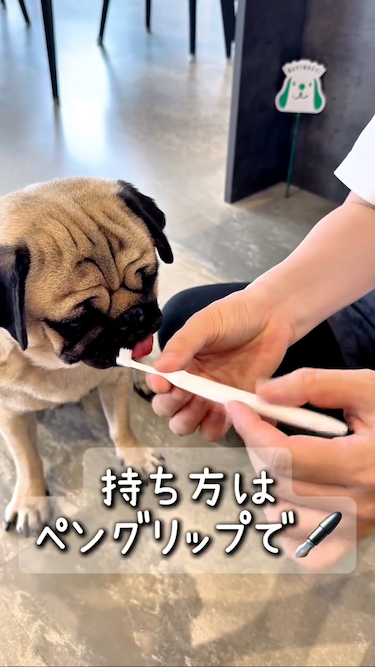 画像：リール動画のキャプチャ