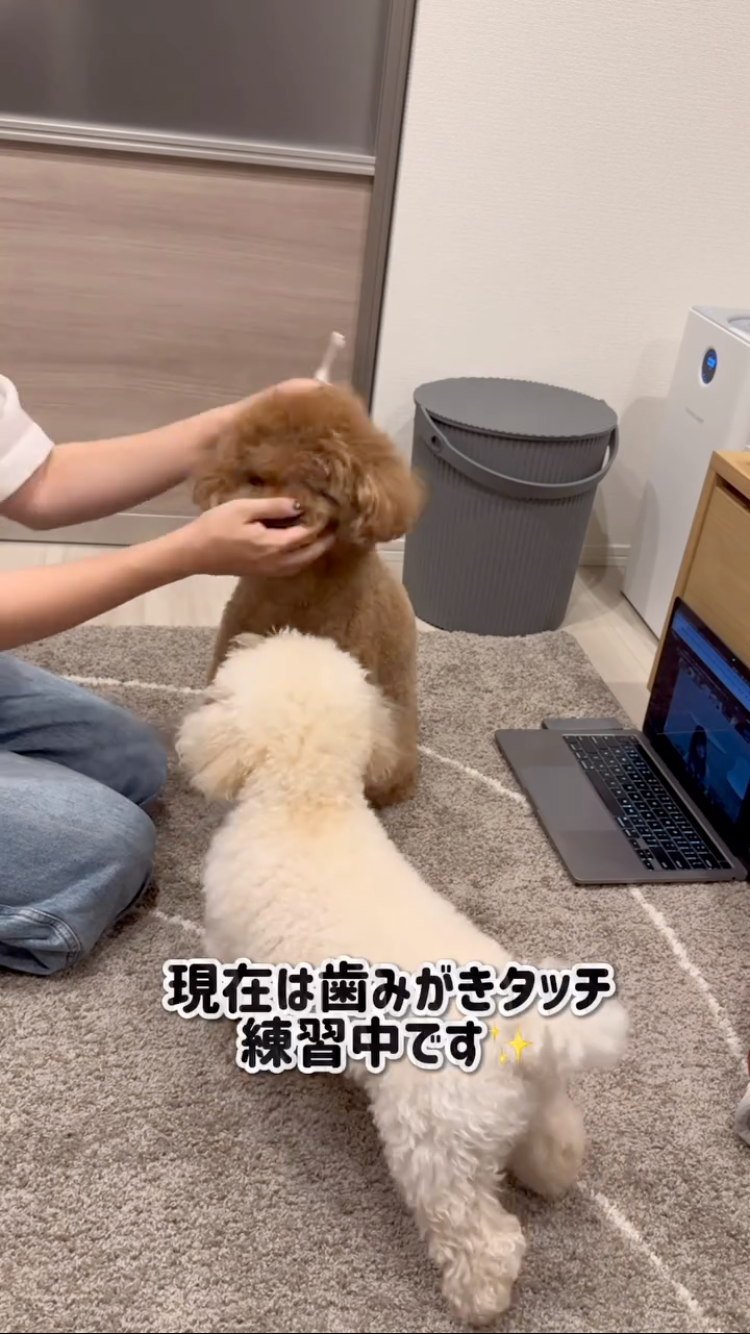 画像：リール動画のキャプチャ