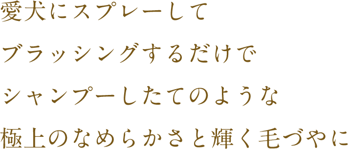 愛犬にスプレーしてブラッシングするだけでシャンプーしたてのような極上のなめらかさと輝く毛づやに