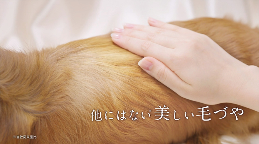 画像:動画内の該当シーン