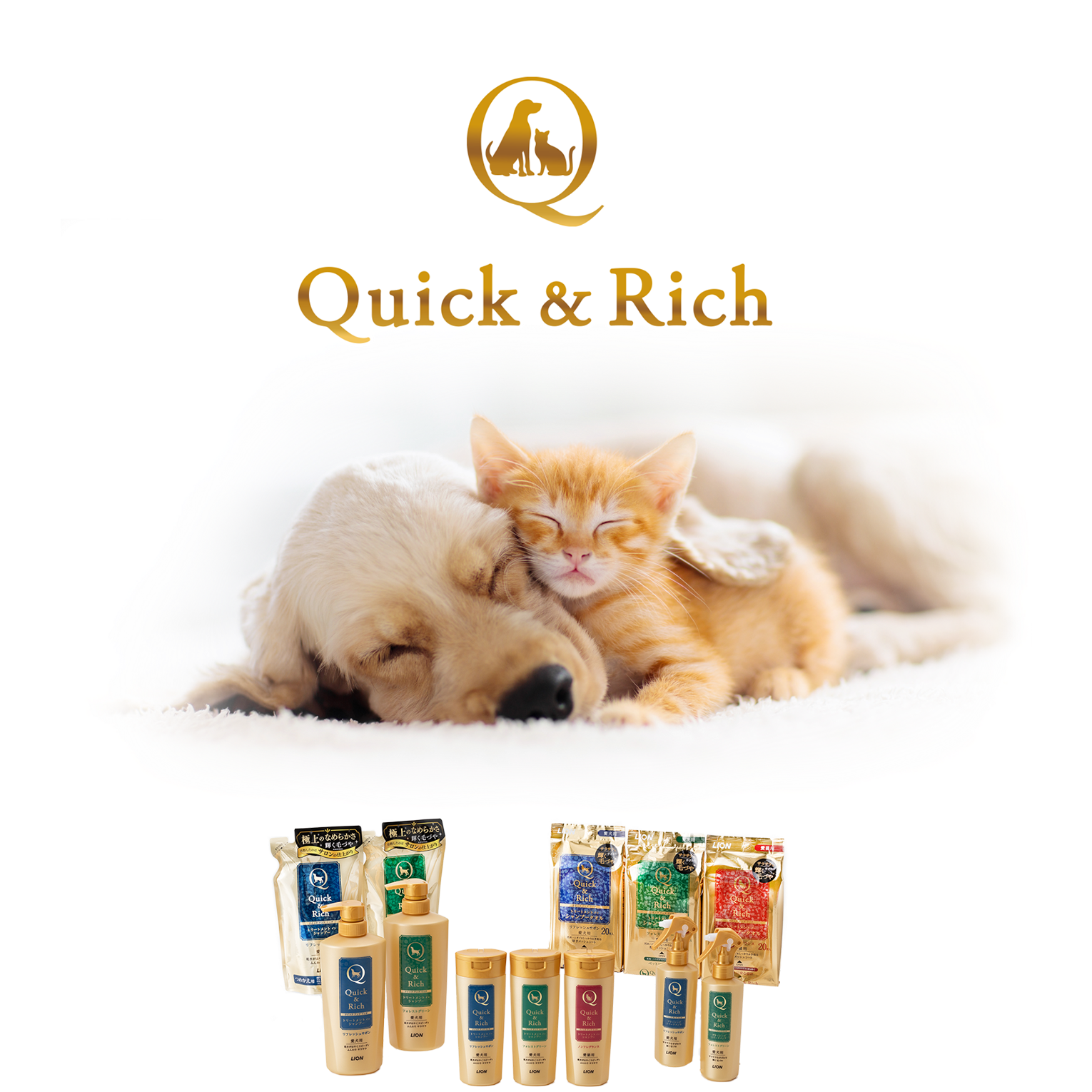 Quick & Rich