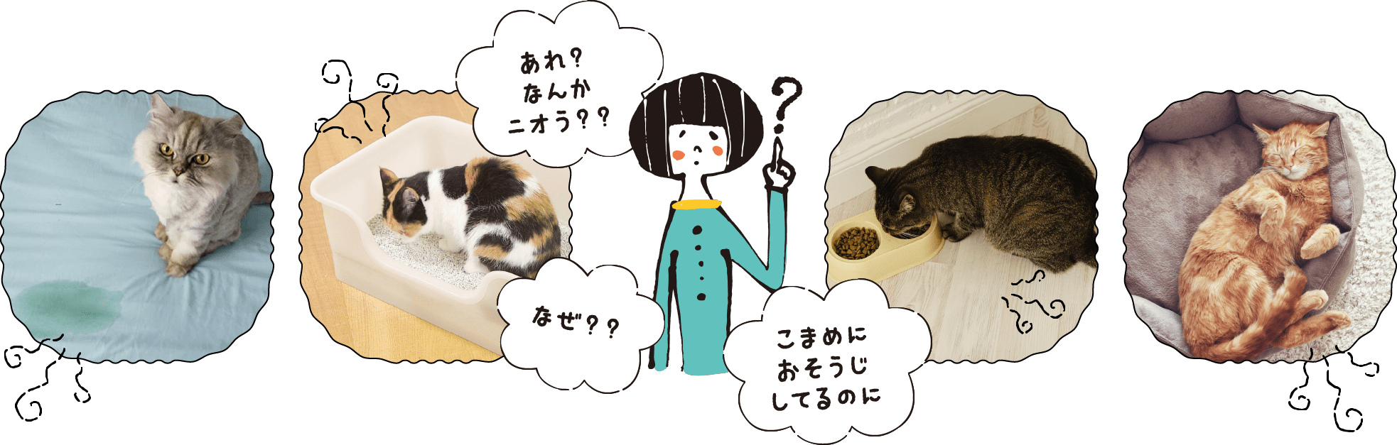 あれ？なんかニオう？？なぜ？？こまめにおそうじしてるのに