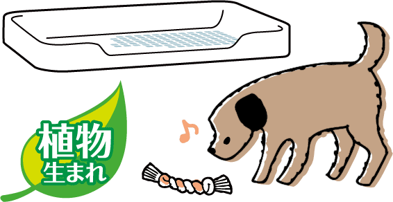 植物生まれ