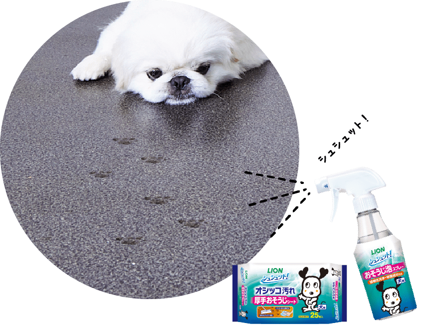 足跡のついた床に シュシュット!
